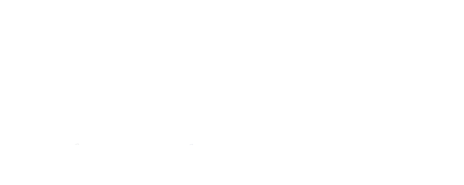 VNS
