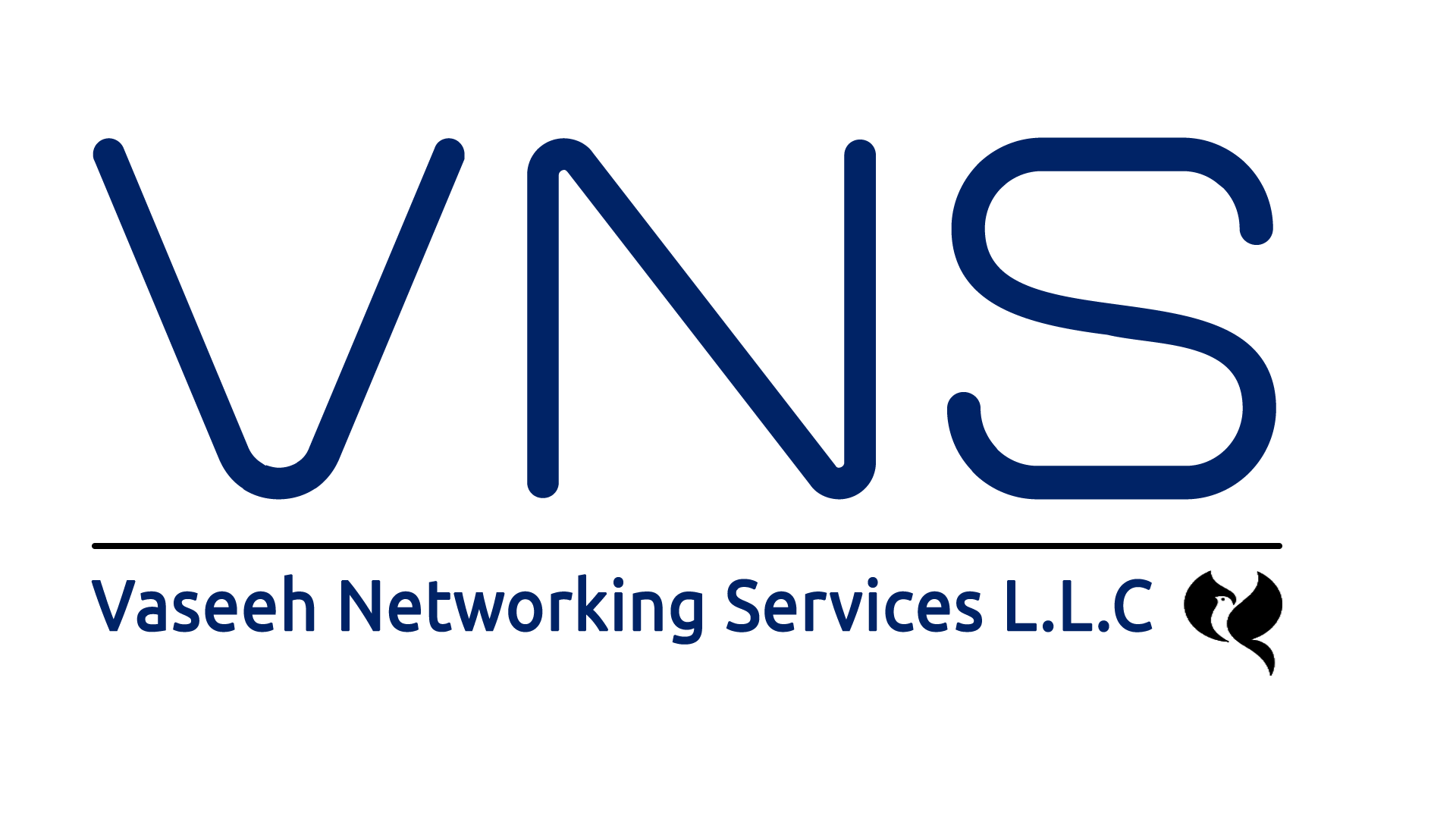 VNS